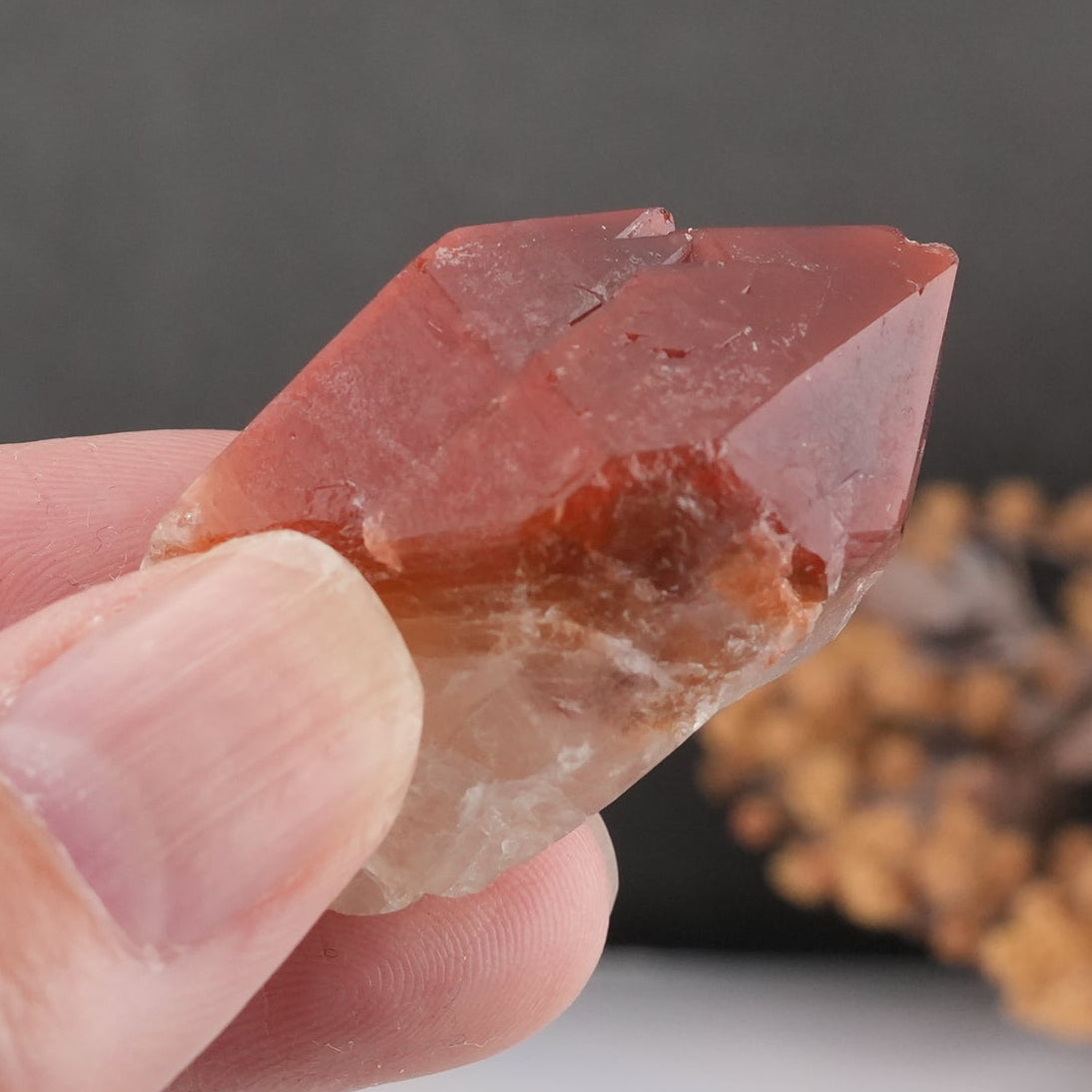 Multi Colour Bow Clutch